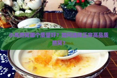 小鸟燕窝哪个质量好？如何选择正宗高品质燕窝？
