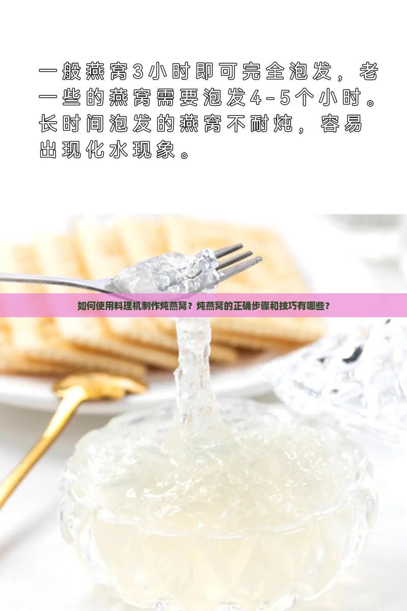 如何使用料理机制作炖燕窝？炖燕窝的正确步骤和技巧有哪些？