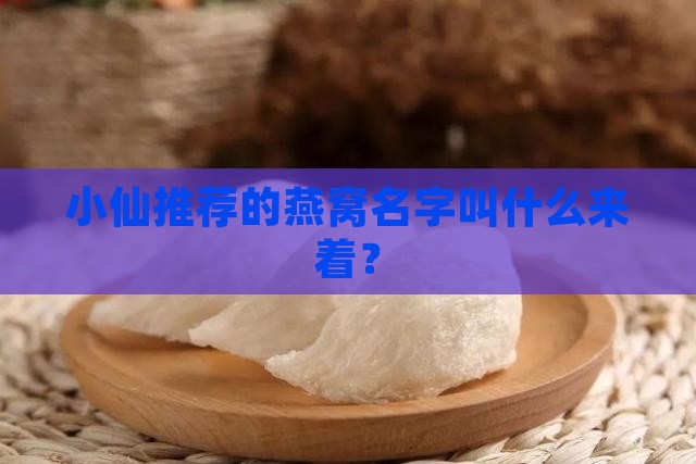小仙推荐的燕窝名字叫什么来着？