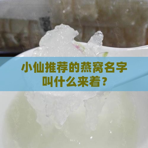 小仙推荐的燕窝名字叫什么来着？