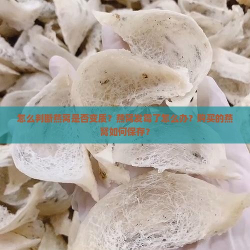 怎么判断燕窝是否变质？燕窝发霉了怎么办？购买的燕窝如何保存？