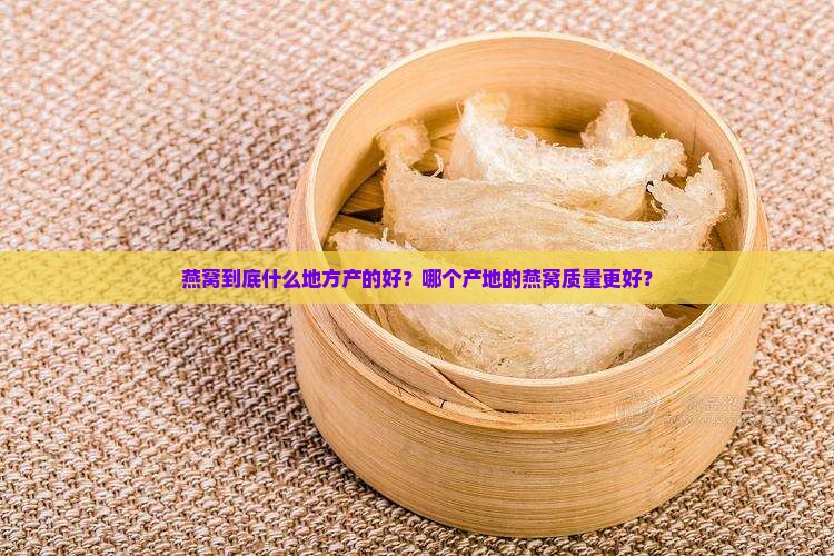 燕窝到底什么地方产的好？哪个产地的燕窝质量更好？