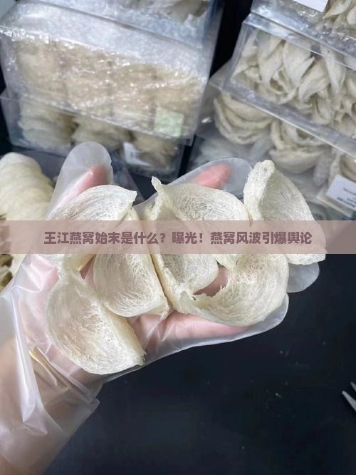王江燕窝始末是什么？曝光！燕窝风波引爆舆论