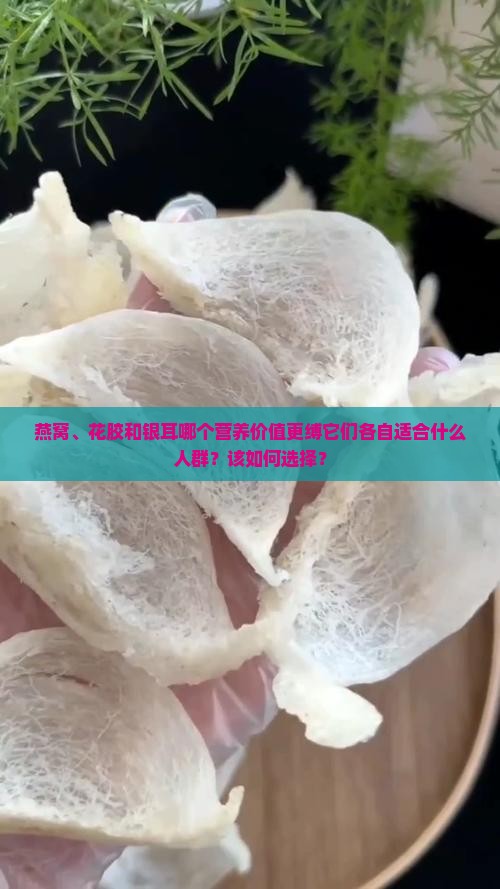 燕窝、花胶和银耳哪个营养价值更缚它们各自适合什么人群？该如何选择？
