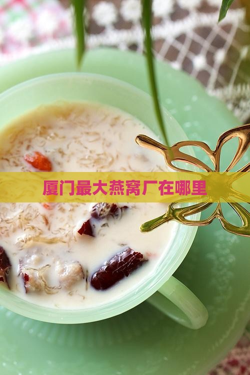 厦门最大燕窝厂在哪里