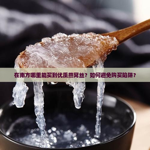 在南方哪里能买到优质燕窝丝？如何避免购买陷阱？