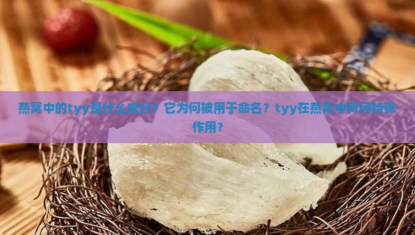 燕窝中的tyy是什么成分？它为何被用于命名？tyy在燕窝中有何特殊作用？