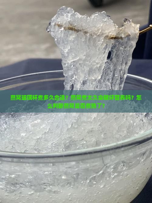 燕窝玻璃杯煮多久合适？燕窝煮太久会破坏营养吗？怎么判断燕窝是否煮熟了？