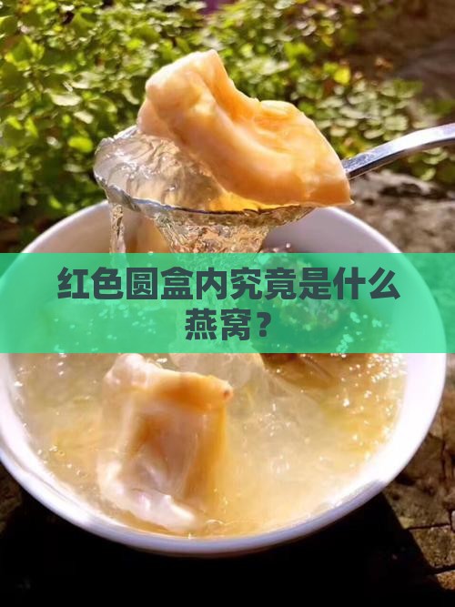 红色圆盒内究竟是什么燕窝？