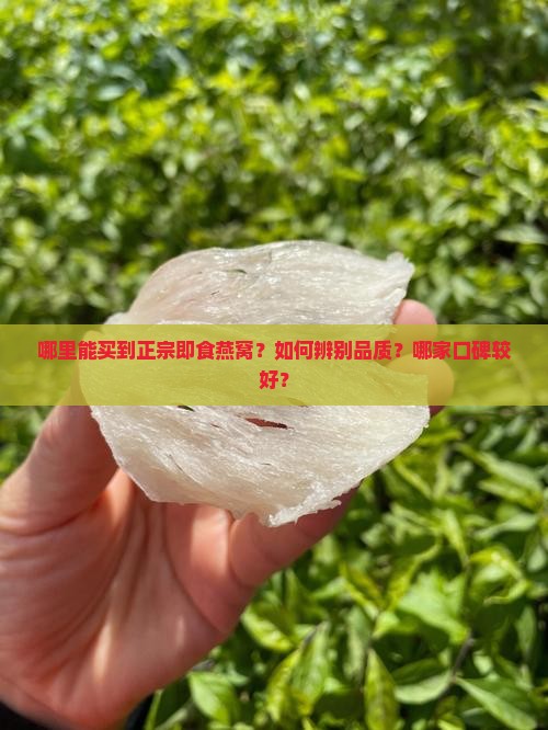 哪里能买到正宗即食燕窝？如何辨别品质？哪家口碑较好？