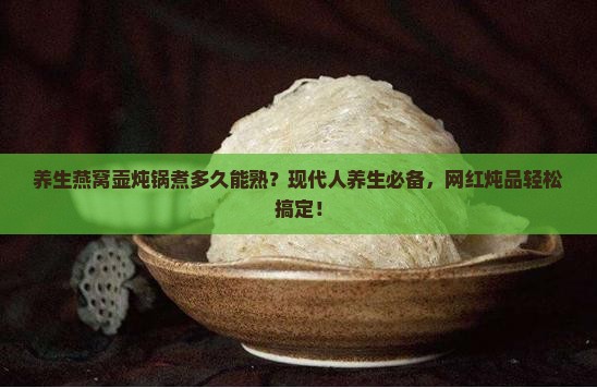 养生燕窝壶炖锅煮多久能熟？现代人养生必备，网红炖品轻松搞定！