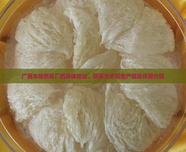 广西东泉燕窝厂的具体地址、联系方式和生产信息详细介绍