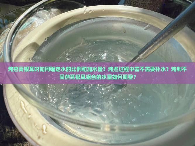 炖燕窝银耳时如何确定水的比例和加水量？炖煮过程中需不需要补水？炖制不同燕窝银耳组合的水量如何调整？