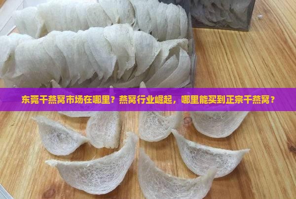 东莞干燕窝市场在哪里？燕窝行业崛起，哪里能买到正宗干燕窝？
