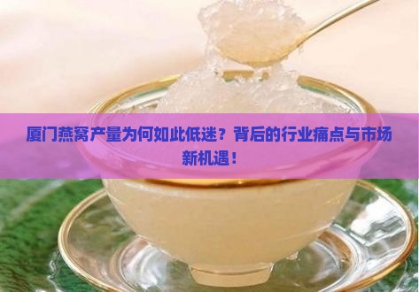 厦门燕窝产量为何如此低迷？背后的行业痛点与市场新机遇！