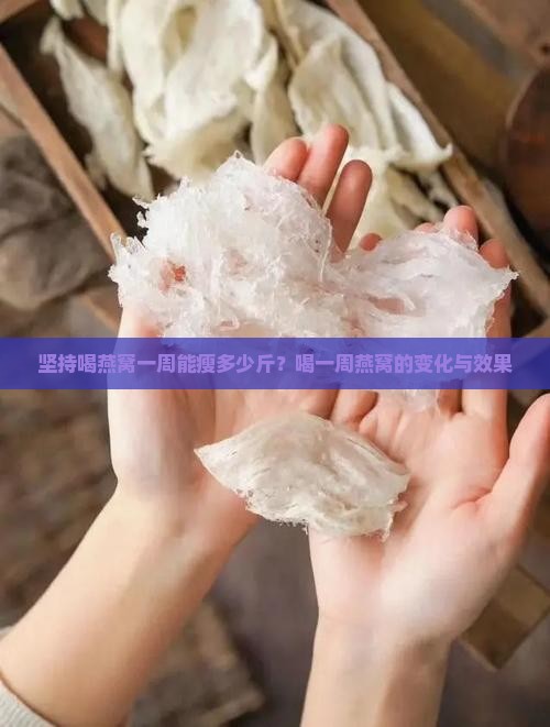 坚持喝燕窝一周能瘦多少斤？喝一周燕窝的变化与效果