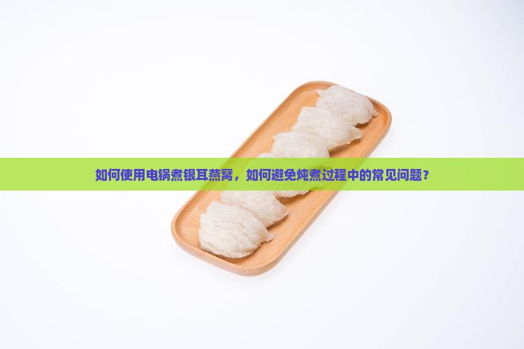 如何使用电锅煮银耳燕窝，如何避免炖煮过程中的常见问题？