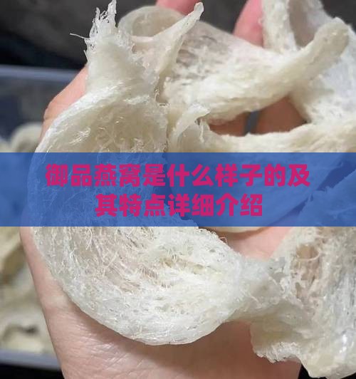 御品燕窝是什么样子的及其特点详细介绍