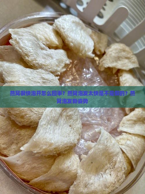 燕窝很快泡开怎么回事？燕窝泡发太快是不是假的？燕窝泡发新姿势