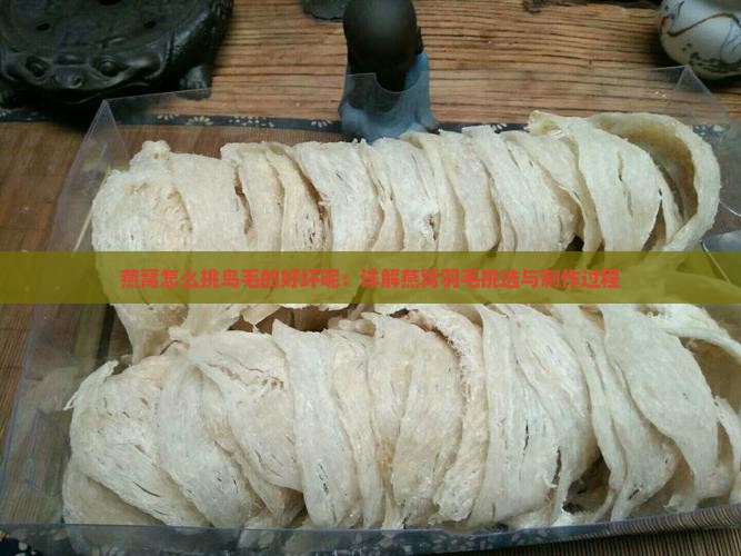 燕窝怎么挑鸟毛的好坏呢：详解燕窝羽毛挑选与制作过程