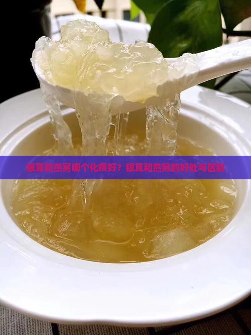 银耳和燕窝哪个化痰好？银耳和燕窝的好处与区别