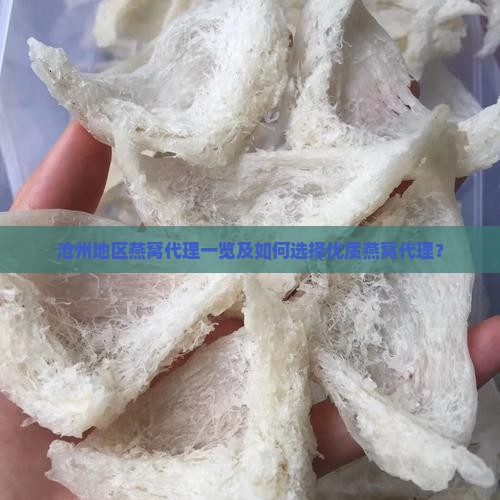 沧州地区燕窝代理一览及如何选择优质燕窝代理？