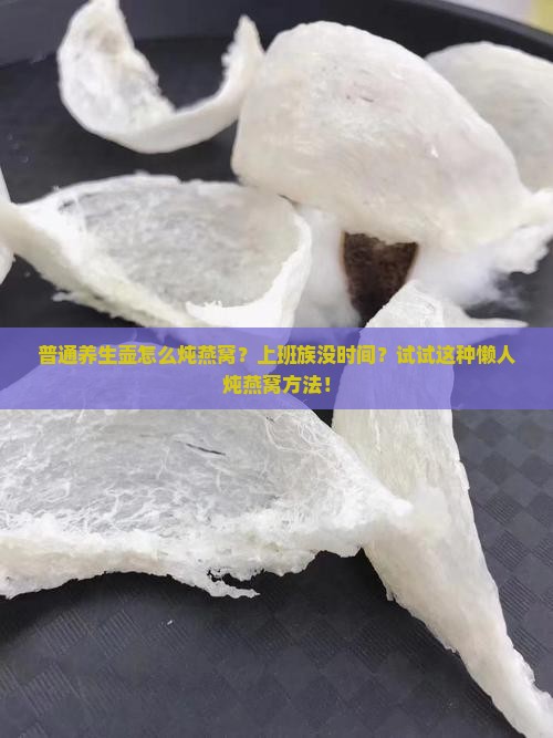 普通养生壶怎么炖燕窝？上班族没时间？试试这种懒人炖燕窝方法！