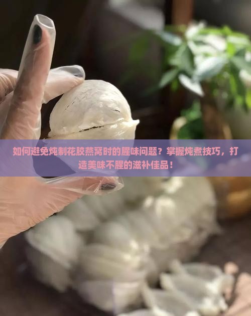 如何避免炖制花胶燕窝时的腥味问题？掌握炖煮技巧，打造美味不腥的滋补佳品！