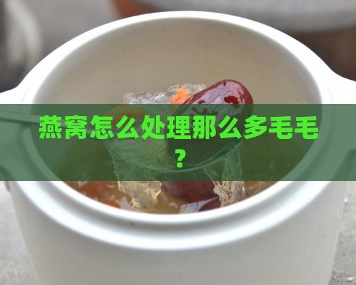 燕窝怎么处理那么多毛毛？