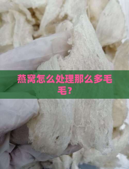 燕窝怎么处理那么多毛毛？