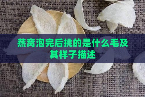 燕窝泡完后挑的是什么毛及其样子描述