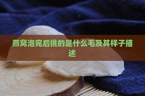 燕窝泡完后挑的是什么毛及其样子描述