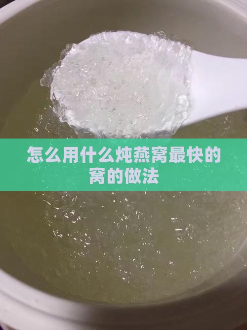 怎么用什么炖燕窝最快的窝的做法