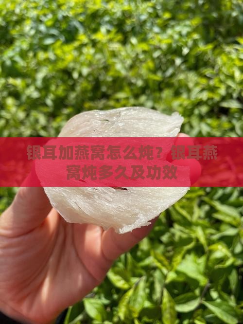 银耳加燕窝怎么炖？银耳燕窝炖多久及功效