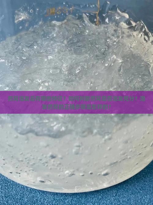 燕窝泡发后有哪些特征？如何判断燕窝是否泡发充分？泡发燕窝的正确步骤是怎样的？