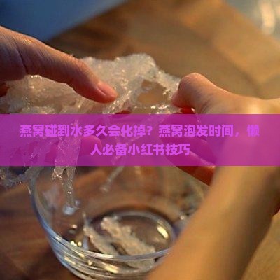 燕窝碰到水多久会化掉？燕窝泡发时间，懒人必备小红书技巧