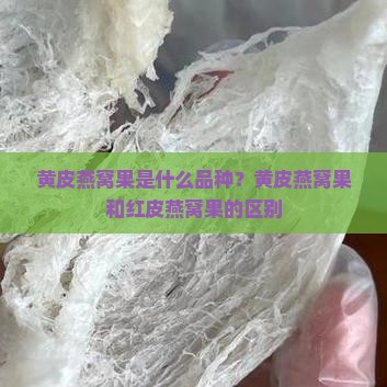 黄皮燕窝果是什么品种？黄皮燕窝果和红皮燕窝果的区别