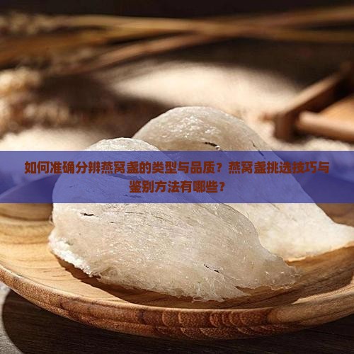 如何准确分辨燕窝盏的类型与品质？燕窝盏挑选技巧与鉴别方法有哪些？