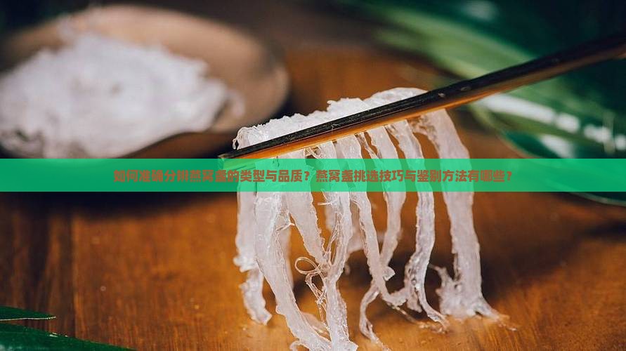 如何准确分辨燕窝盏的类型与品质？燕窝盏挑选技巧与鉴别方法有哪些？