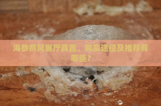 海参燕窝展厅具置、购买途径及推荐有哪些？