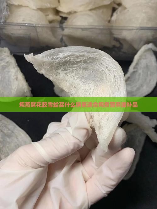 炖燕窝花胶雪蛤买什么锅更适合炖煮营养滋补品