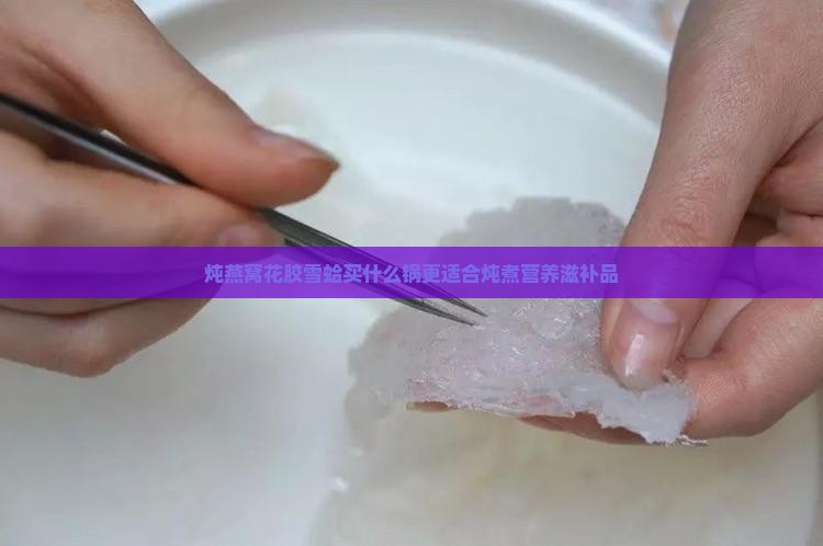 炖燕窝花胶雪蛤买什么锅更适合炖煮营养滋补品