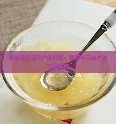 雪燕窝是哪里产的好呢：我国与云南产地对比解析