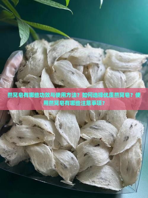 燕窝皂有哪些功效与使用方法？如何选择优质燕窝皂？使用燕窝皂有哪些注意事项？