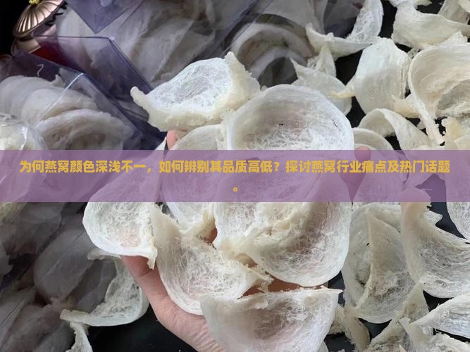 为何燕窝颜色深浅不一，如何辨别其品质高低？探讨燕窝行业痛点及热门话题。