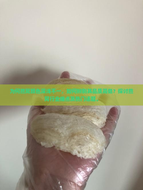 为何燕窝颜色深浅不一，如何辨别其品质高低？探讨燕窝行业痛点及热门话题。