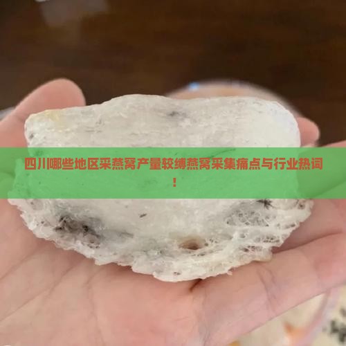 四川哪些地区采燕窝产量较缚燕窝采集痛点与行业热词！