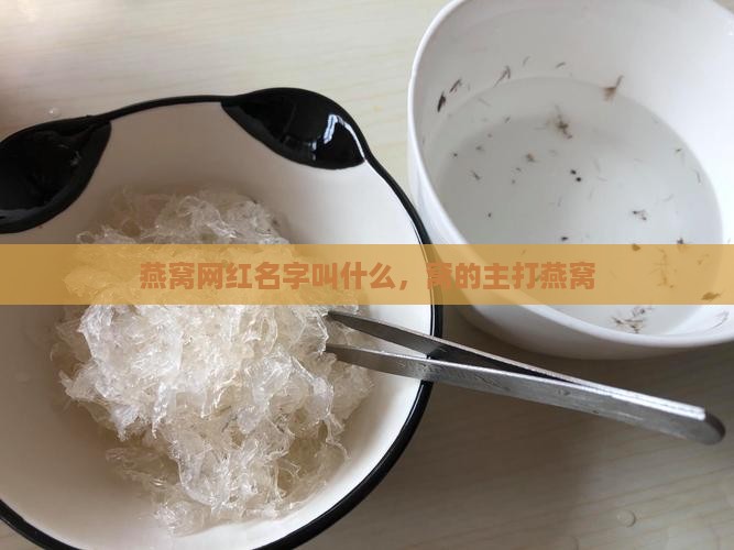 燕窝网红名字叫什么，窝的主打燕窝