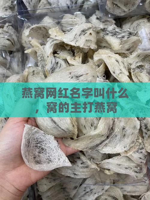 燕窝网红名字叫什么，窝的主打燕窝