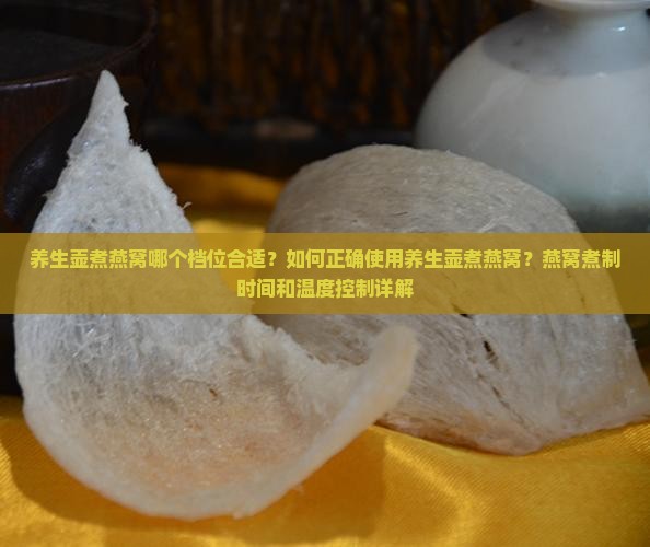养生壶煮燕窝哪个档位合适？如何正确使用养生壶煮燕窝？燕窝煮制时间和温度控制详解